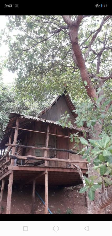 Tree Lodge Banlung Extérieur photo