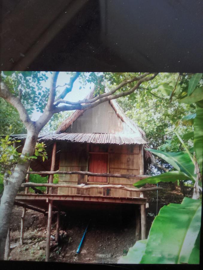 Tree Lodge Banlung Extérieur photo
