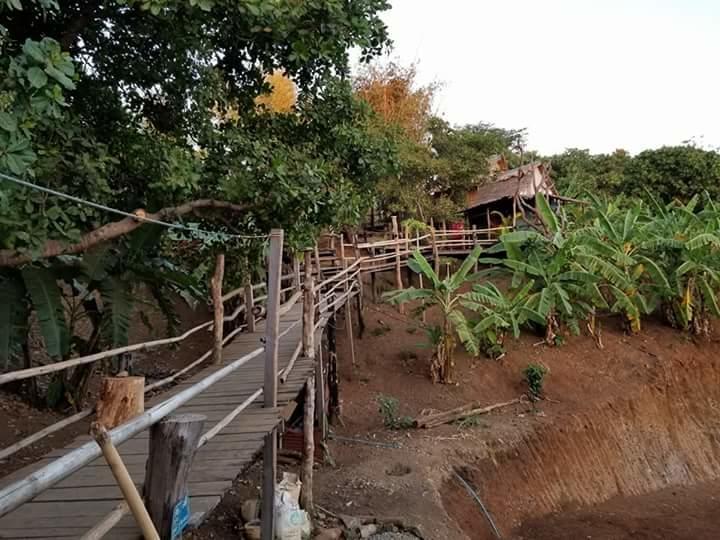 Tree Lodge Banlung Extérieur photo