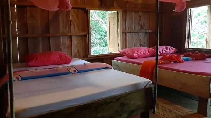 Tree Lodge Banlung Extérieur photo