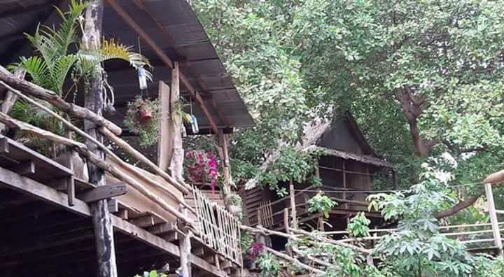 Tree Lodge Banlung Extérieur photo